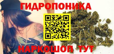 гашик Боровичи