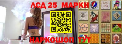 гашик Боровичи