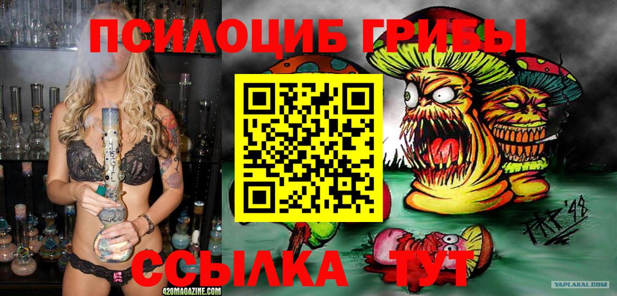 Избербаш  Псилоцибиновые грибы Cubensis  Псилоцибиновые грибы мухоморы  Вход с VPN 
